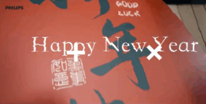 2025.01 Philips年会Annual Celebration